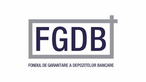 FGDB 1 1