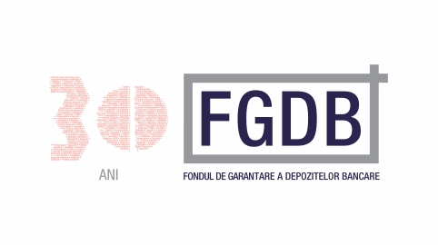 30 logo